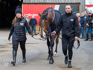 DS110422-53 - Dan Skelton Stable Visit